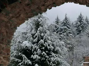 kashmir