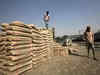 Cement prices rise Rs 25 per bag in February