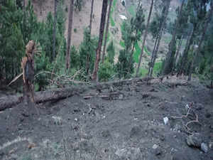 Balakot Airstrikes