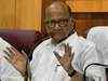 NCP chief Sharad Pawar decides not to contest Lok Sabha elections