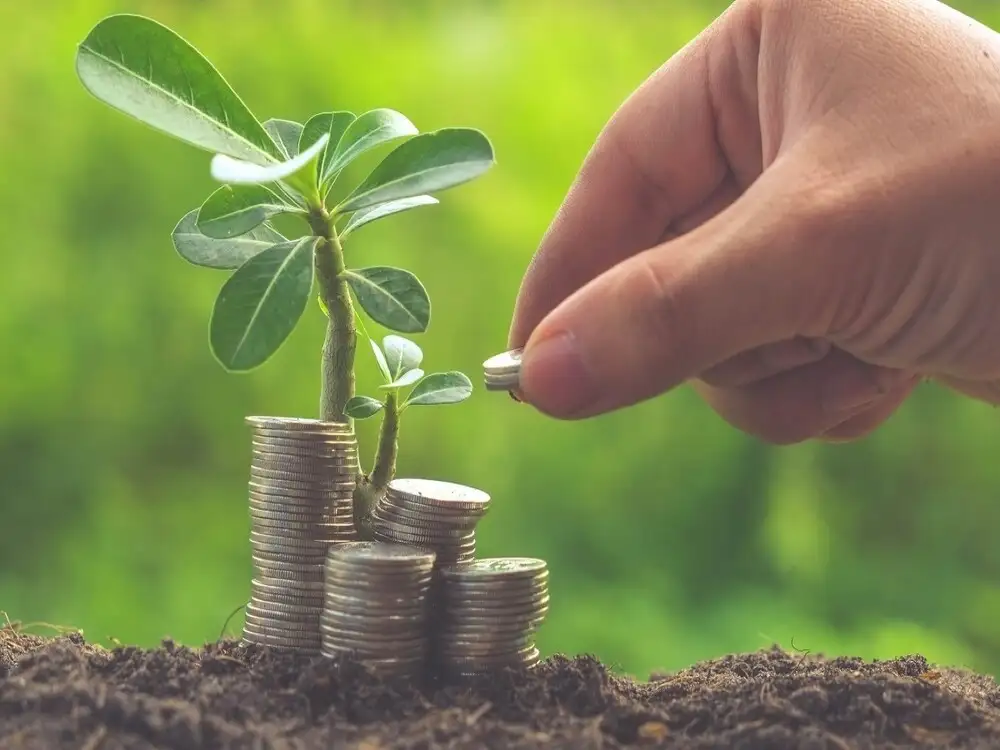 What you need to know about stock options harvard business review