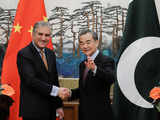 China has responsibility to not shield Pakistan: US