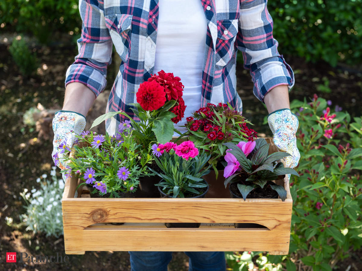 Gardening Exercise Equivalent