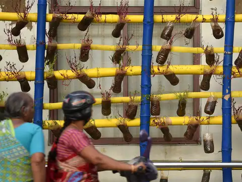 Where's the pot?