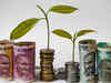 Nifty’s dollar gains surge further on strong rupee, inflows