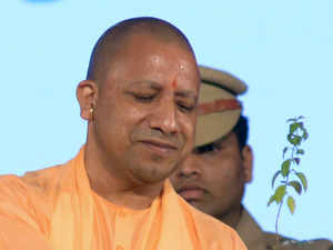 yogi-bccl