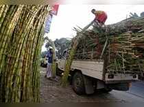 FILE PHOTO: Vendors load sugarcane onto a vehicle at a wholesale market in Kolkata