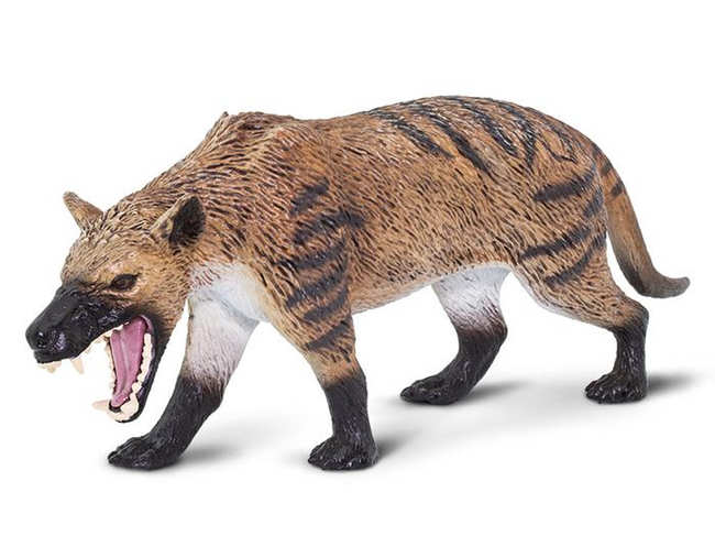 hyaenodont