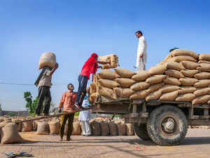 Wheat-PTI