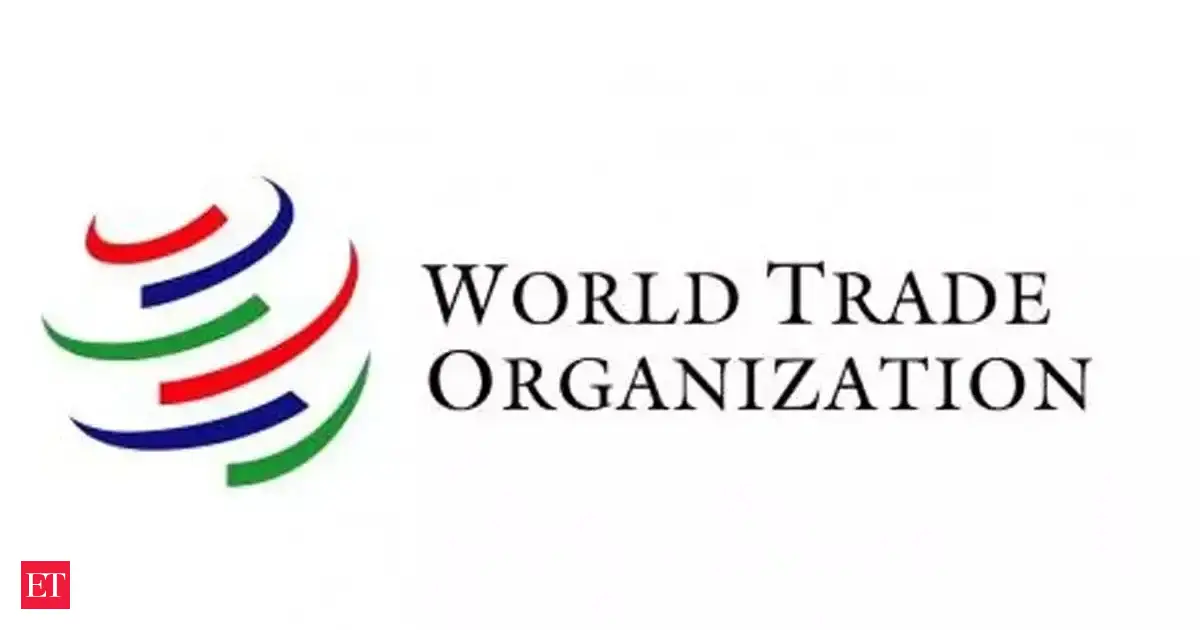 Delhi WTO meet: Ecommerce on agenda at Delhi WTO meet