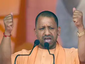 Yogi--bccl