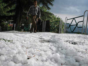 hailstorm-BCCL