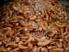 Seafood industry stress on sustainable farming as shrimp output set to fall