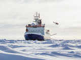 How Antarctica’s remote location and diverse fauna has caught the fancy of avid travellers