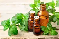 menthaoil-getty
