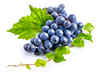 India’s grape exports to Europe surge by 31%