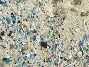 This undated handout photo released by the University of Tasmania shows debris on a beach on Cocos Islands AFP