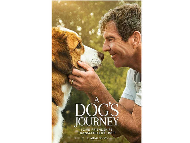 Dog's journey