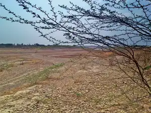 Karnataka