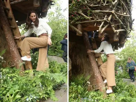 Up The Tree House