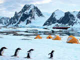 On the high seas: This summer vacation opt for a cruise expedition to Antarctica basecamp