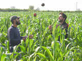 Young professionals are turning agripreneurs by taking up farming