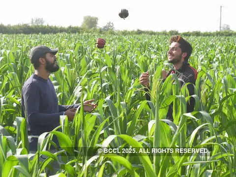 Meet the farmers with engineering, MBA degrees Meet the farmers with engineering, MBA degrees