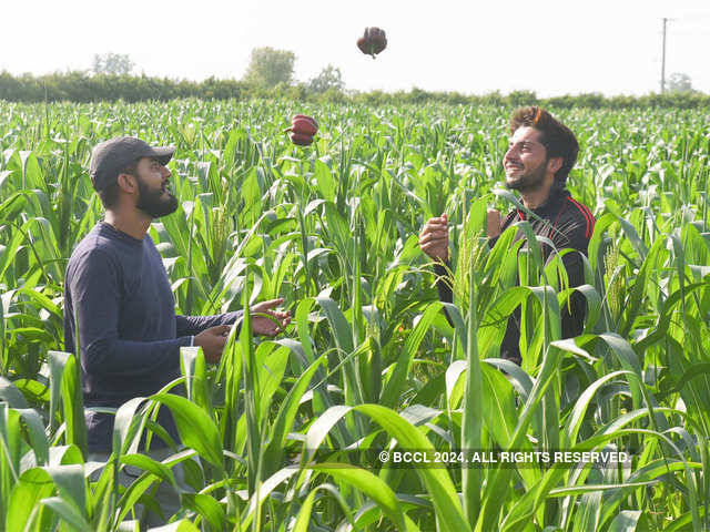 Meet the farmers with engineering, MBA degrees
