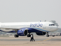 Indigo-1---BCCL