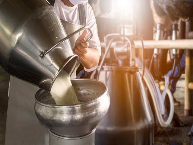 Importance of dairy sector
