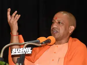 yogi-2