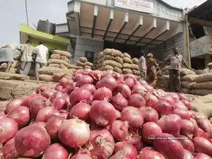 Onion-prices