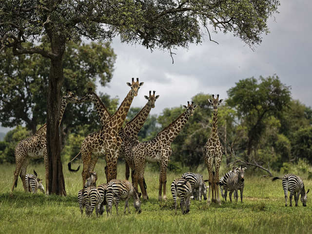 World Environment Day 2019 Know Why Biodiversity Matters - 