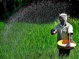 Government mulling over fixing nutrient-based subsidy rate for urea: Sources