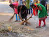 Swachh survey every quarter now to avoid last-minute temporary cleaning by cities