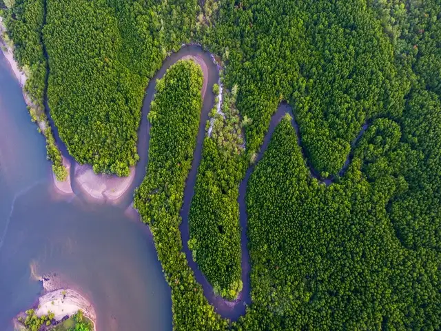 Thirsty Singapore taps into innovation to secure its water future ...