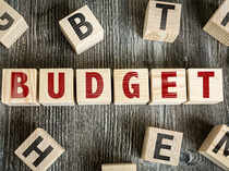 Finance Ministry preparing full Budget presentation in July