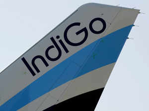 INDIGO