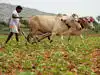 Agriculture