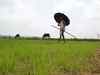 Centre asks states to speed up farmer enrolment under PM-KISAN