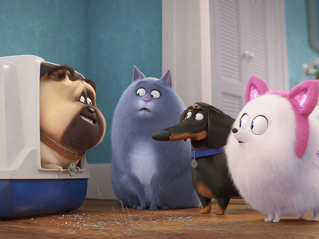 secret life of pets streaming india
