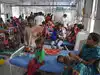 Epicentre of a brain fever outbreak