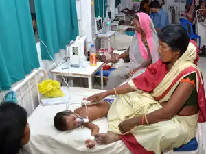 Encephalitis_ani
