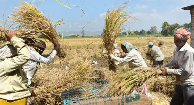 बजट 2019 में कृषि क्षेत्र को मिल सकता है 25 लाख करोड़ का बूस्टर डोज - मोदी सरकार की प्राथमिकता में खेती-बाड़ी | ET Hindi