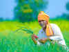 Rs 12,305 cr disbursed so far to farmers under PM-KISAN scheme
