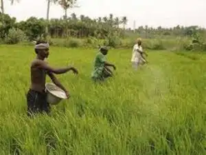 Farm Sector