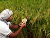 Loan schemes don't reach 59 per cent of rural India: Survey