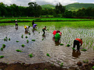 Can Jain Irrigation overcome its crisis of rising debt and rating downgrades?