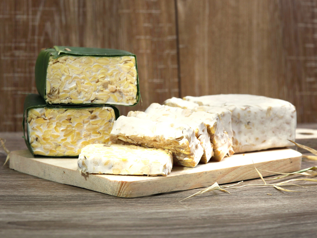 Mycelium: Tempeh could solve India's protein and nutrition deficiency - The  Economic Times
