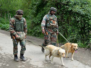 Army spent Rs 1.24 crore on its dog squad in 2018-19: Government
